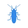 Уничтожение тараканов в Куровском